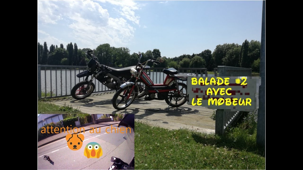 balade avec le mobeur /balade #2 /attention au chien