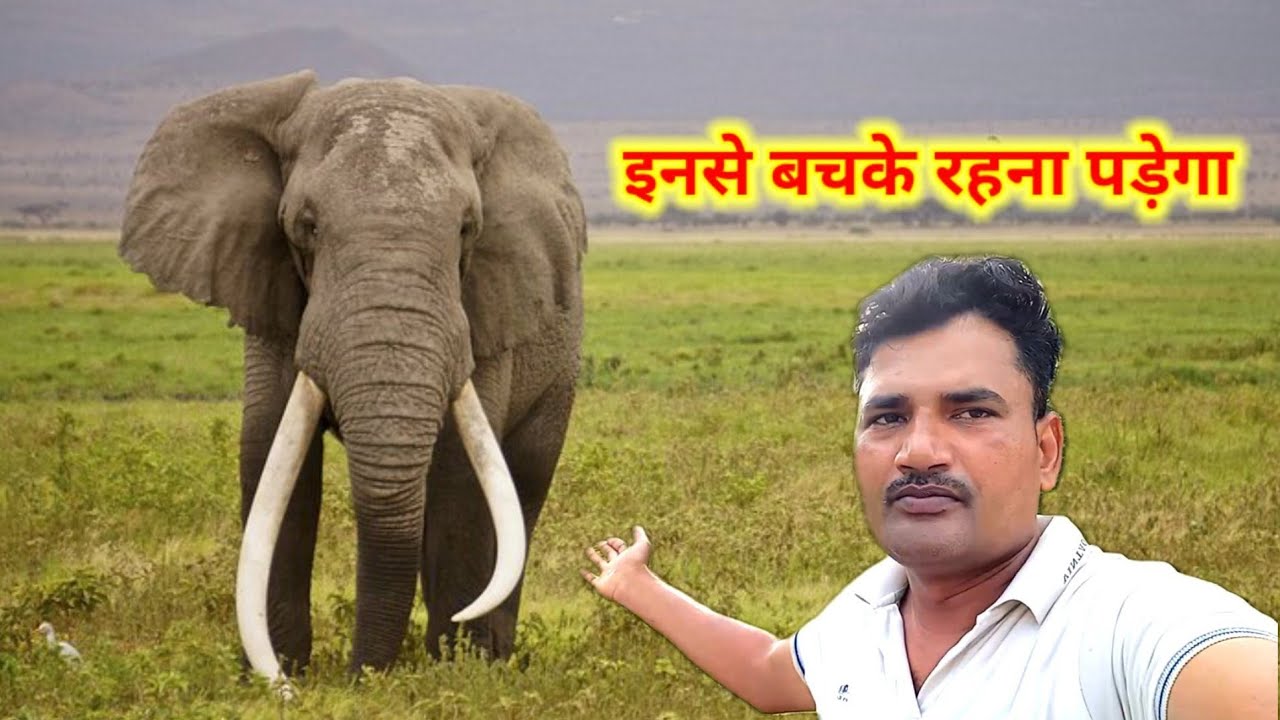 Ganv ka kishan kanhaiya #Myfirstvlogs #myfirstvlogviral #nature