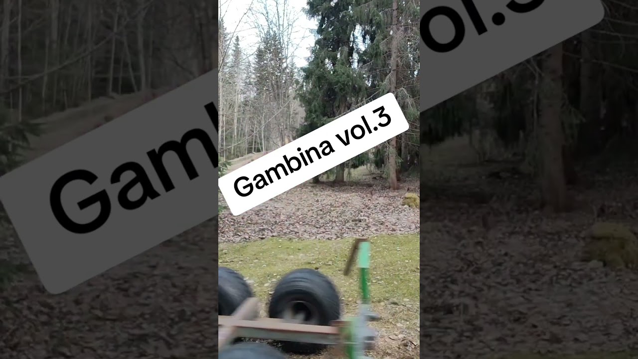 Gambina vol.3