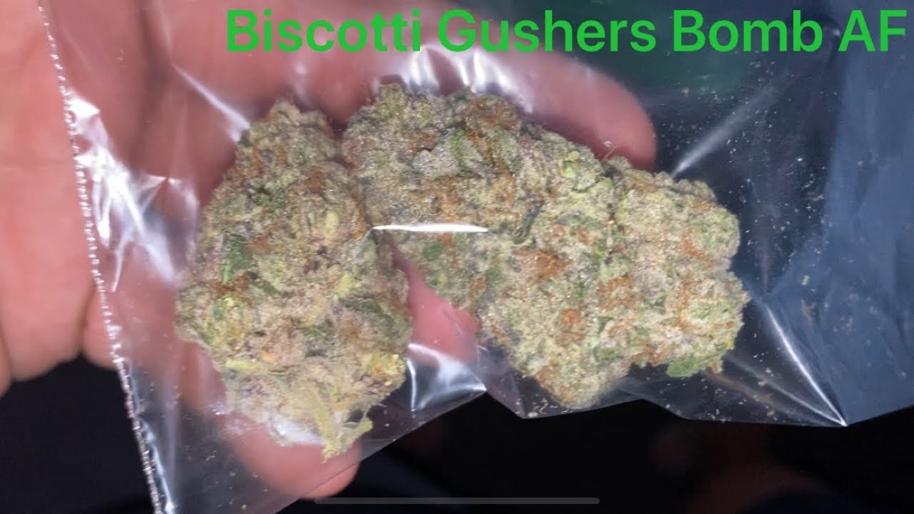 Got Sum Biscotti Gushers