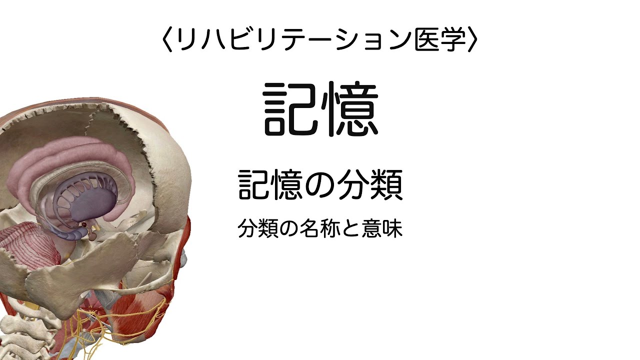 【医学】記憶 記憶の分類の名称と意味