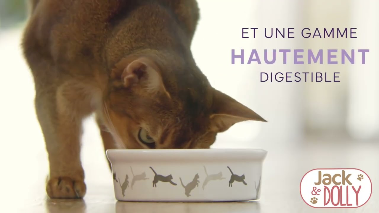 Teaser Croquettes Jack et Dolly pour Chat gamme fonctionnelle Peptides+