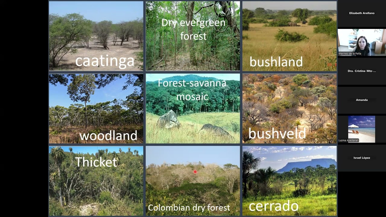Predictores climáticos y edáficos de la vegetación en paisajes tropicales secos