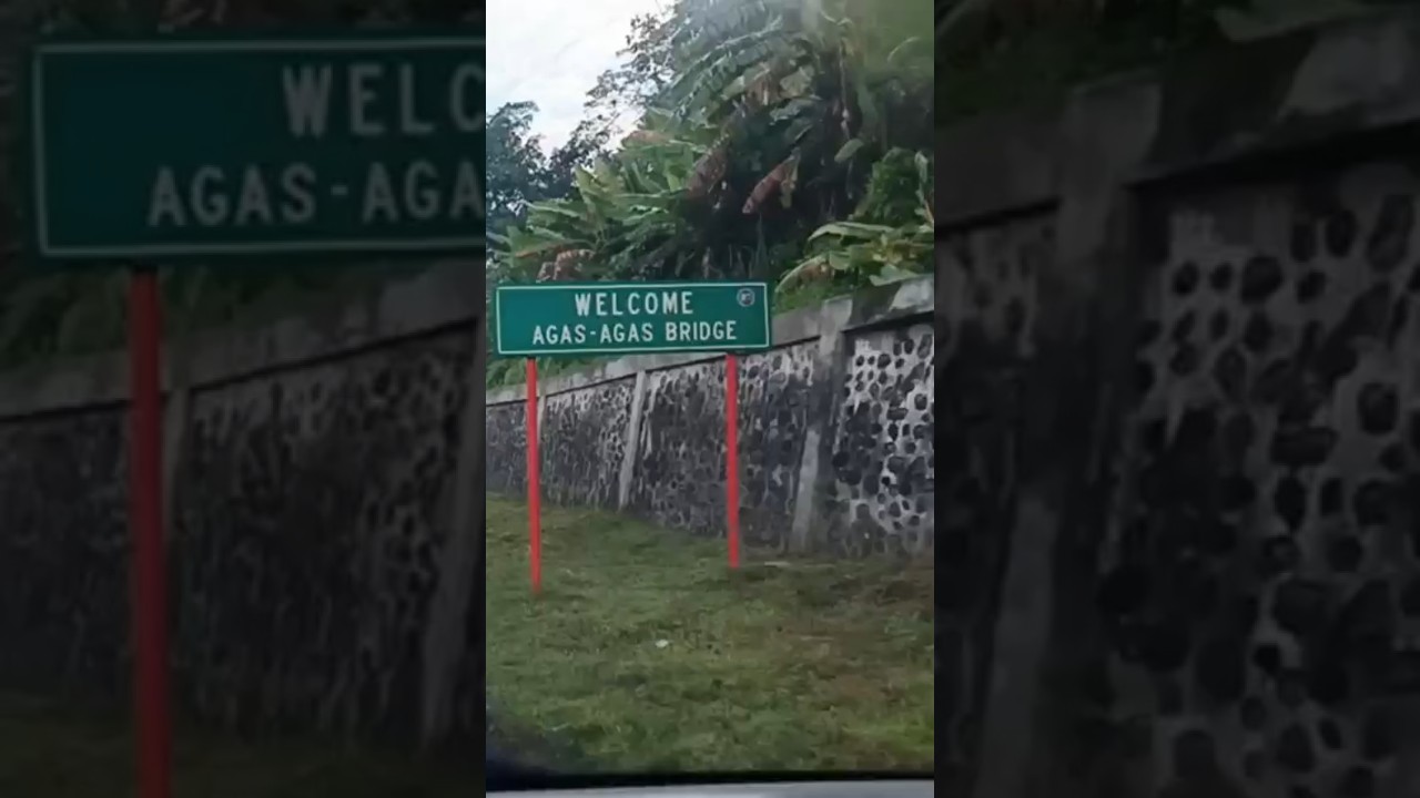 Mindanao to Luzon by Land #suzuki #everywagon #minivan #keivan #shorts #fyp #trending #vanlife #camp