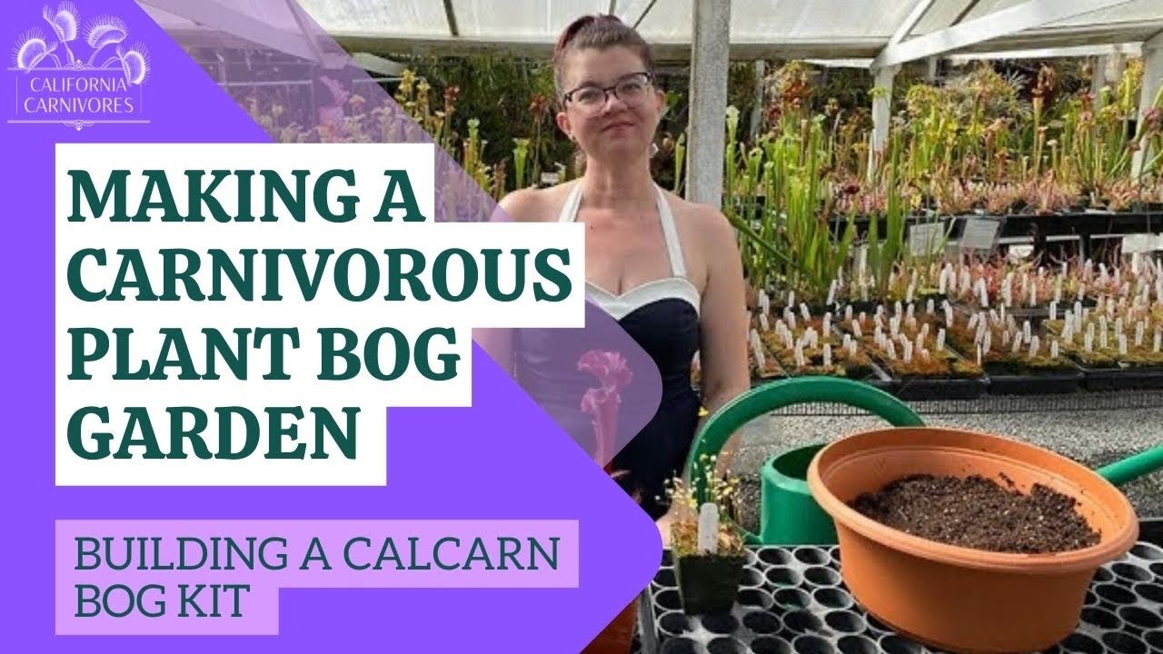 Making a Carnivorous Plant Bog Garden