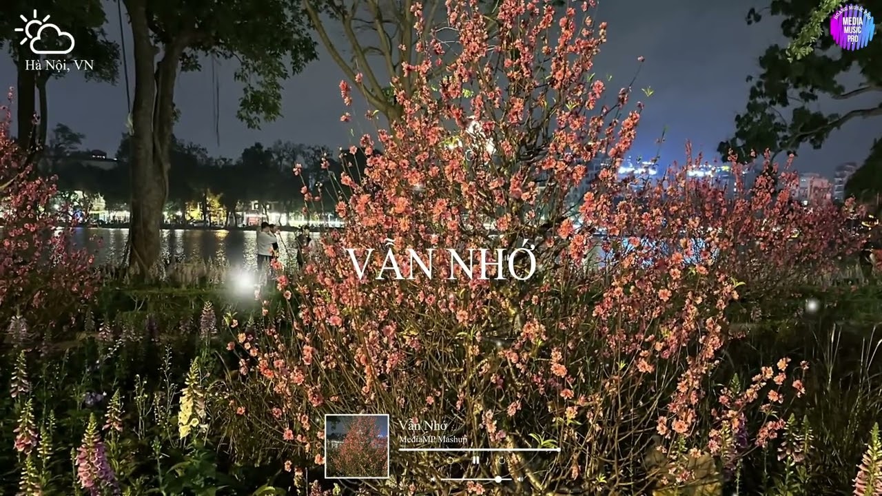 VẪN NHỚ ( Remake ) Chill House 2026 (MediaMP)