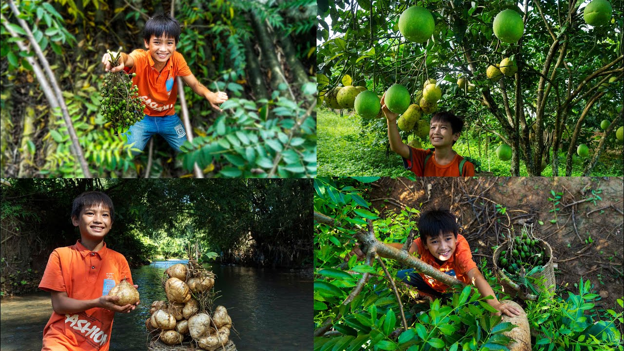 Full video 2 years ago of orphan boy Tuan. Harvest grapefruit, melon, bean roots, buy new pants