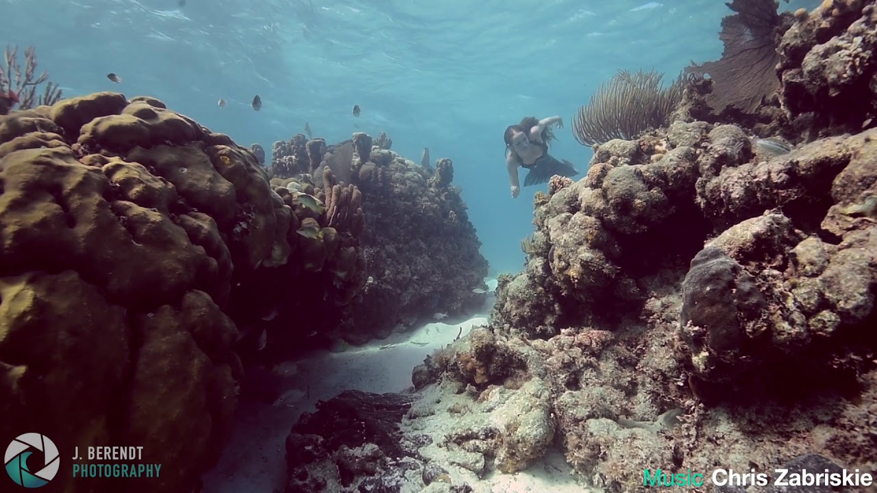 Mermaid Hyli Swims Through by a Reef With Surprise Guest!