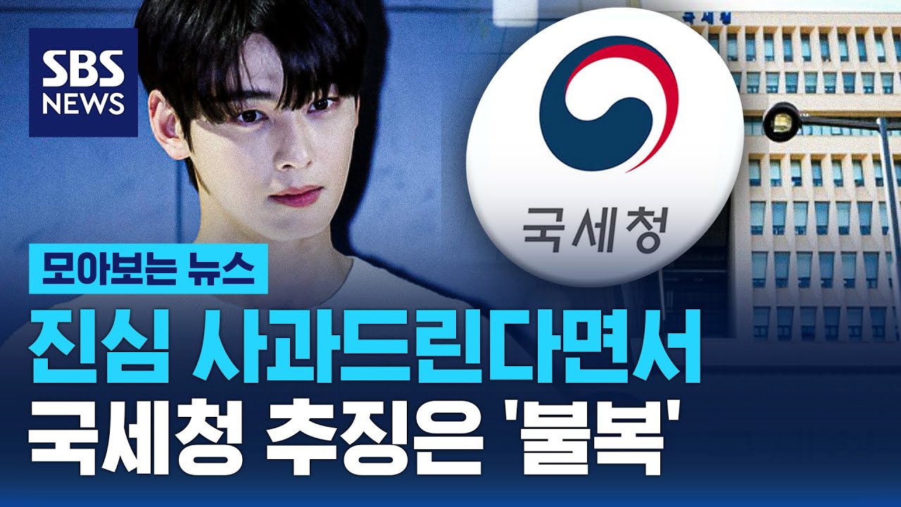 진심으로 사과드린다면서 국세청 추징은 '불복' / SBS / 모아보는 뉴스
