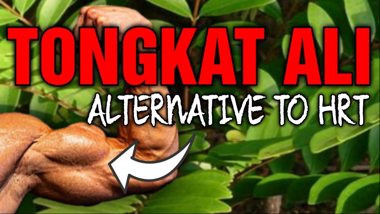 The Holy Grail For ED, Low T, Libido And Infertility || Tongkat Ali (Longjack)