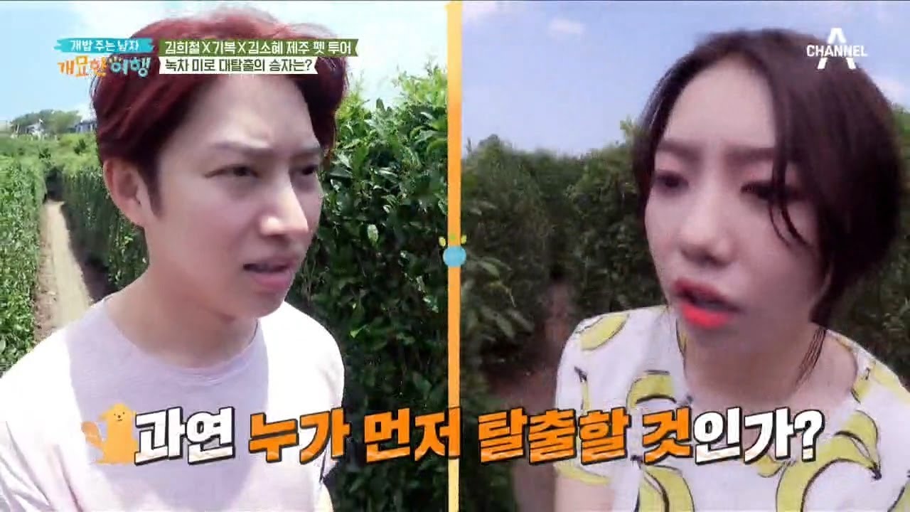 *희철VS소혜* 녹차 미로를 먼저 탈출할 사람은?! | 개밥 주는 남자 개묘한 여행 9회