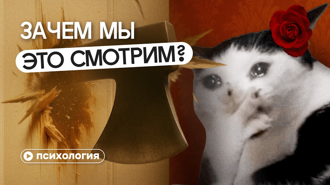 Снос домов цыган под дабстеп: почему ты наслаждаешься чужим горем?