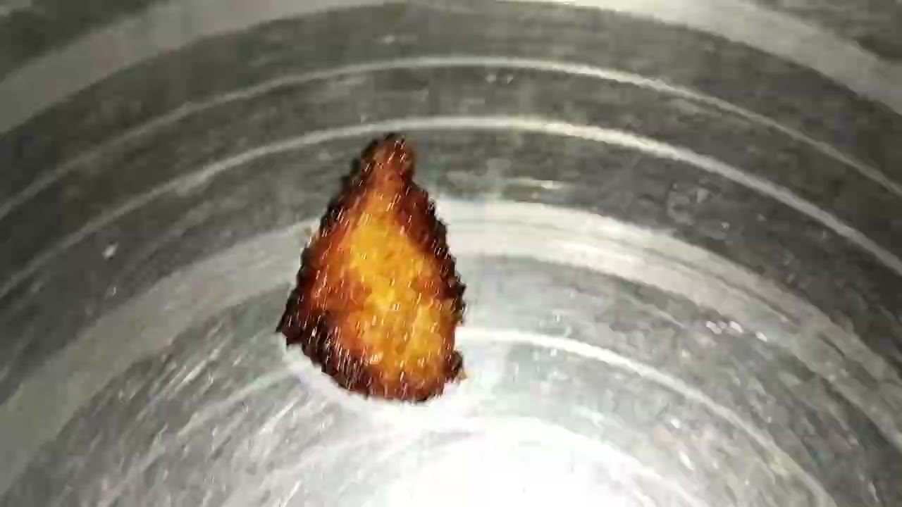 Crispy onion ring 😂🤤