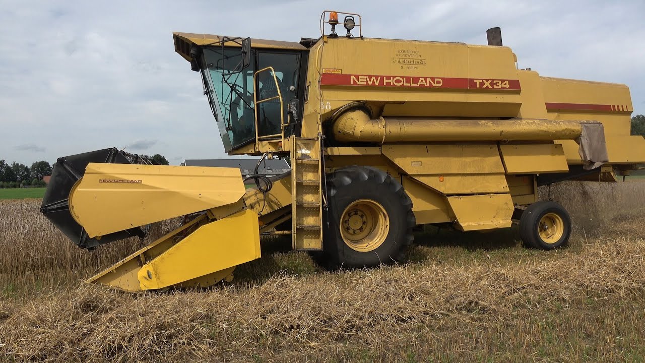 Tarwe oogsten met New Holland TX34 - Nijboer Vroomshoop (2021)