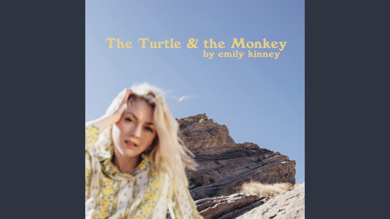 The Turtle and the Monkey