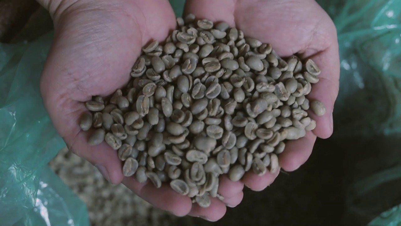 Roasting Coffee ASMR