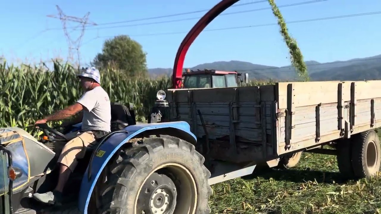 L 95 New Holland 3 sıralı celmak silaj yapımı 
