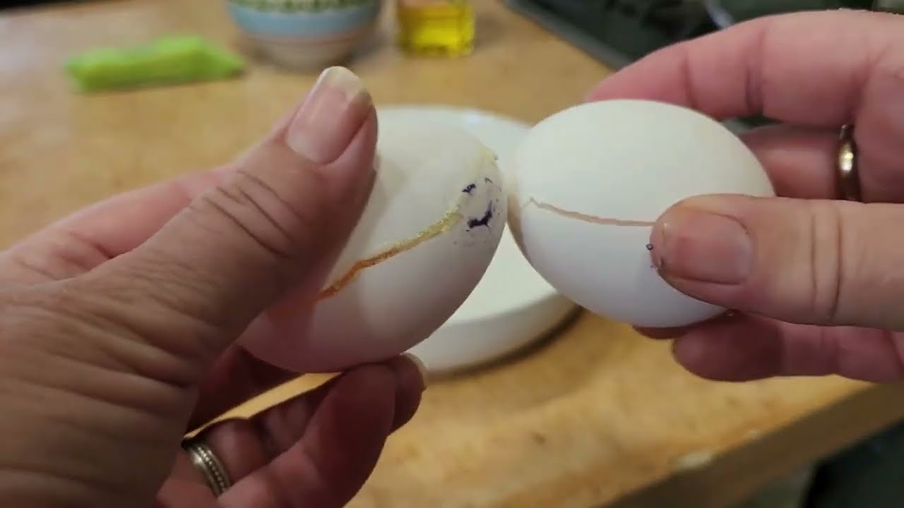 Freezing a Whole Egg in Shell