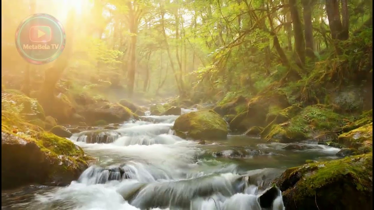 Relaxing music | Nature sounds | Relax music | Relaxing piano | Relaxing guitar | Relaxing