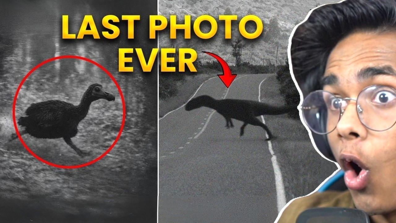 Extinct Animals That Might Still Be Alive