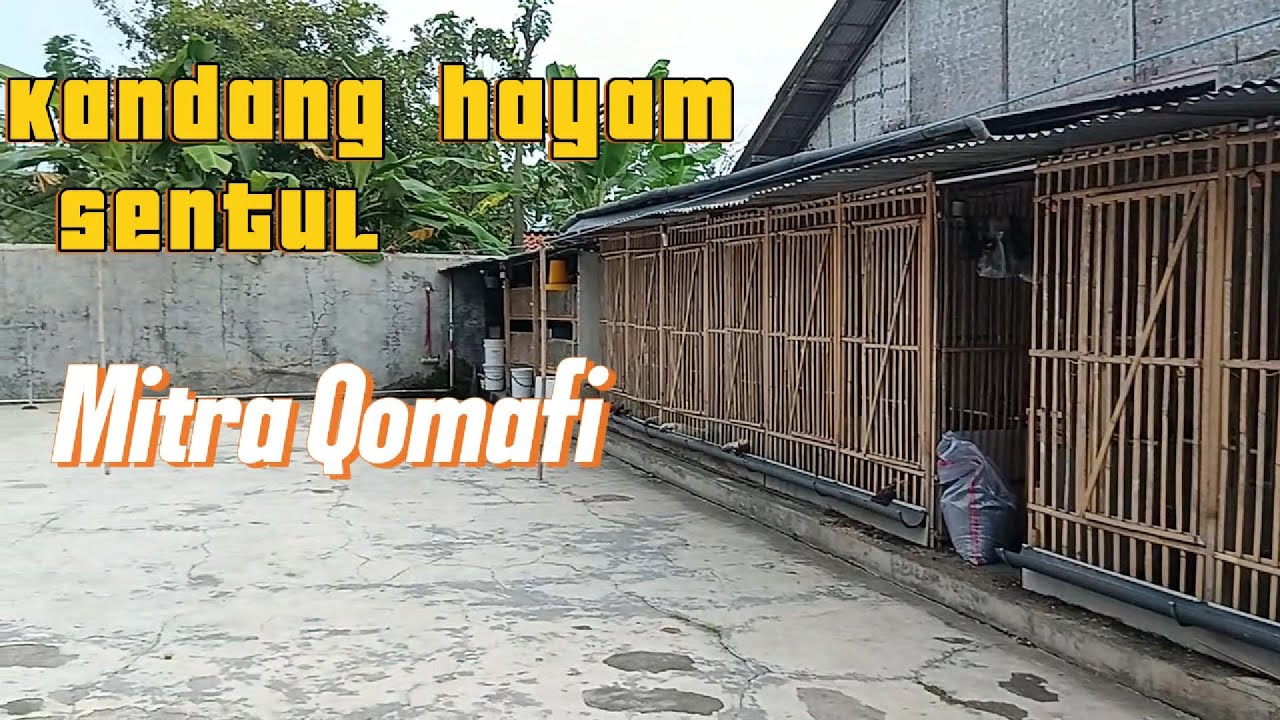 Kunjungan Rutin Mitra Qomafi