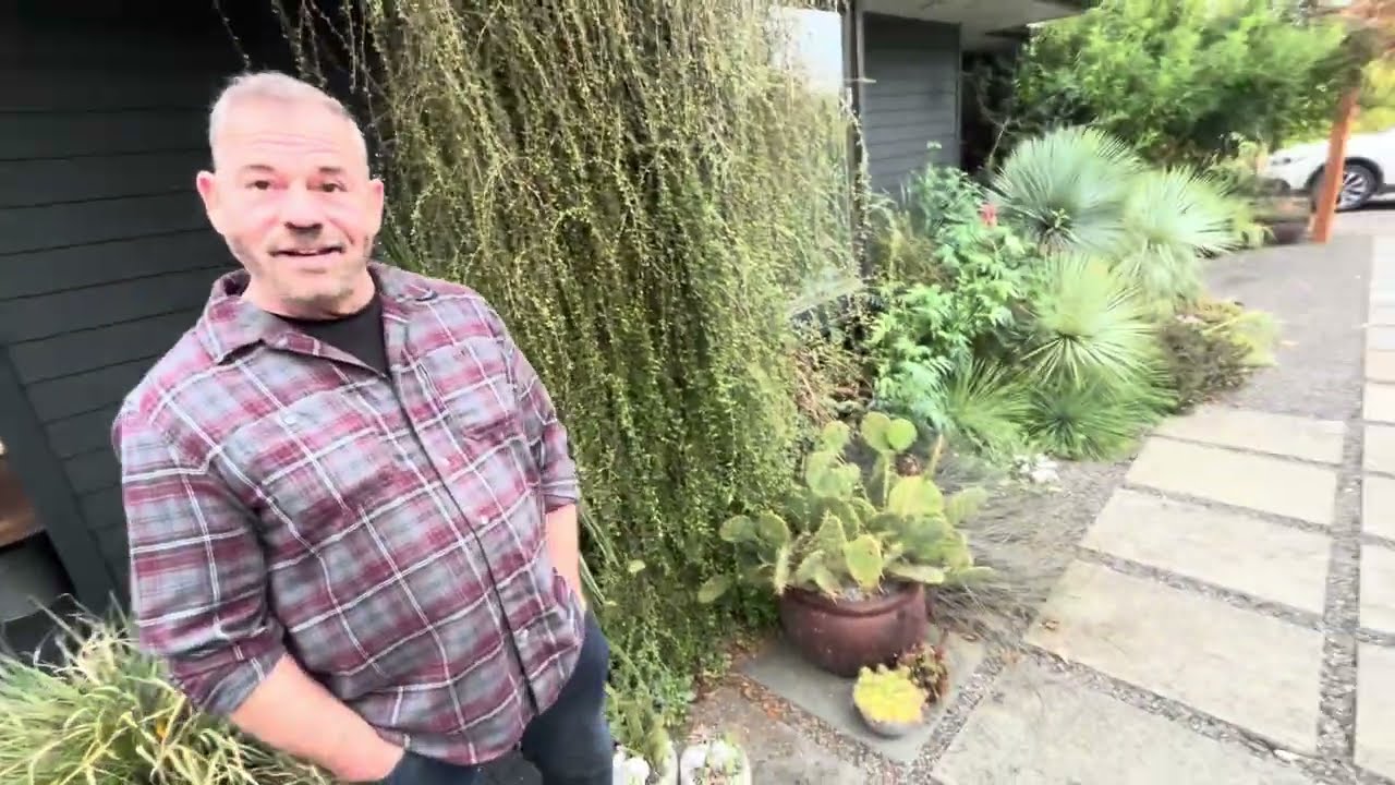 Legendary Sean Hogan and his Portland Nursery Cistus