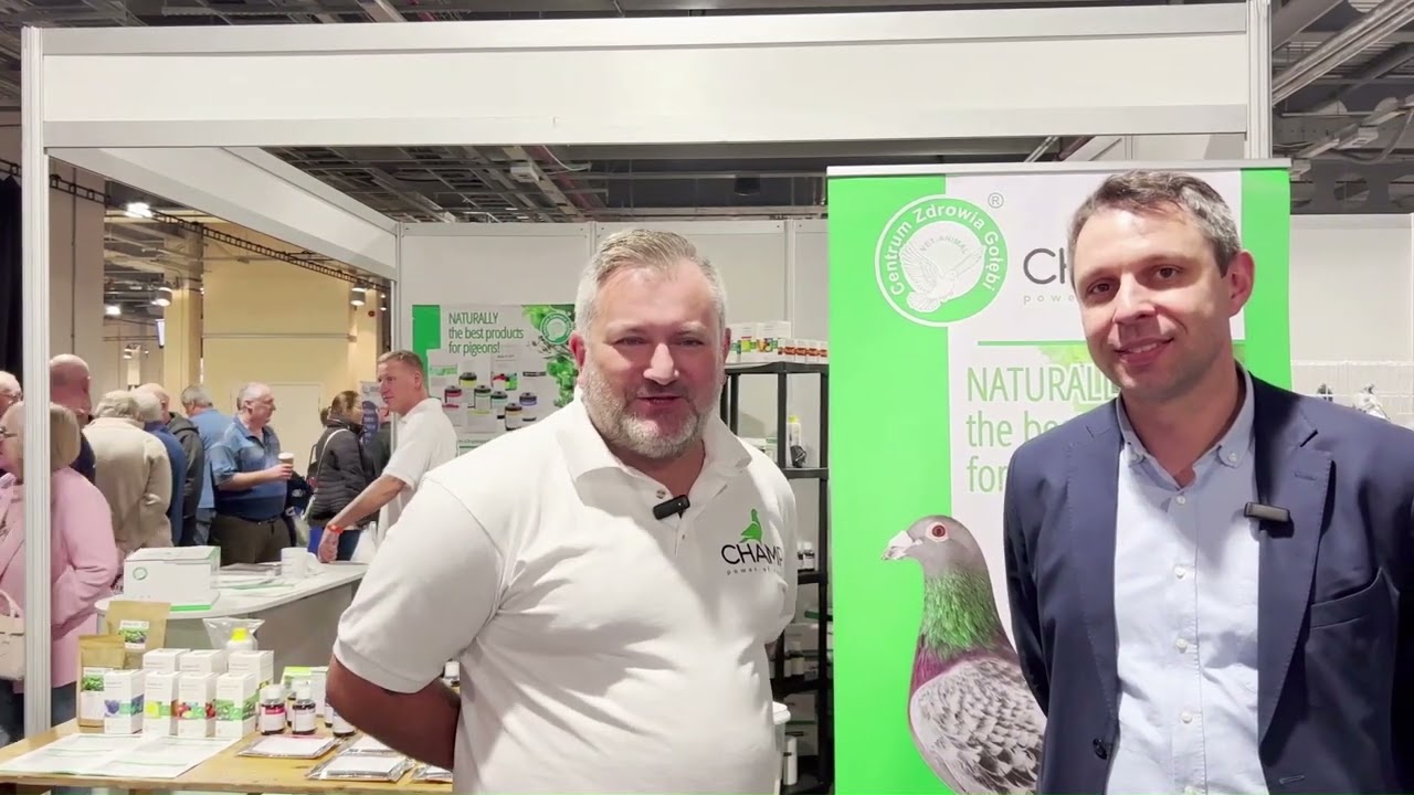CZG na targach gołębi w Doncaster - Champ Power of Nature
