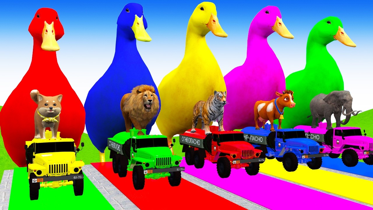 Long Slide With Cow Elephant Gorilla Hippopotamus 3d Animal Game Funny 3d Animals