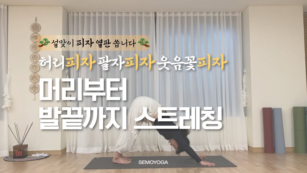 설맞이 피자 열판 쏘겠습니다. | 허리피자 얼굴피자 어깨피자 다리… 더 보기
