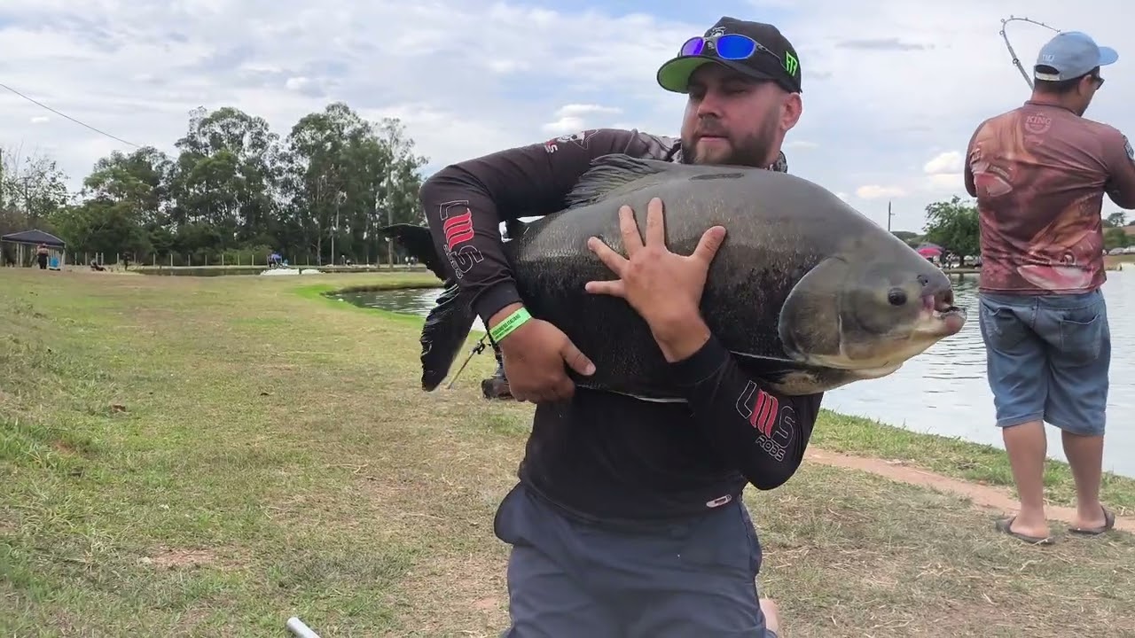 Belos tambas no ITA é papapa' gudunho pego 🎣🤣