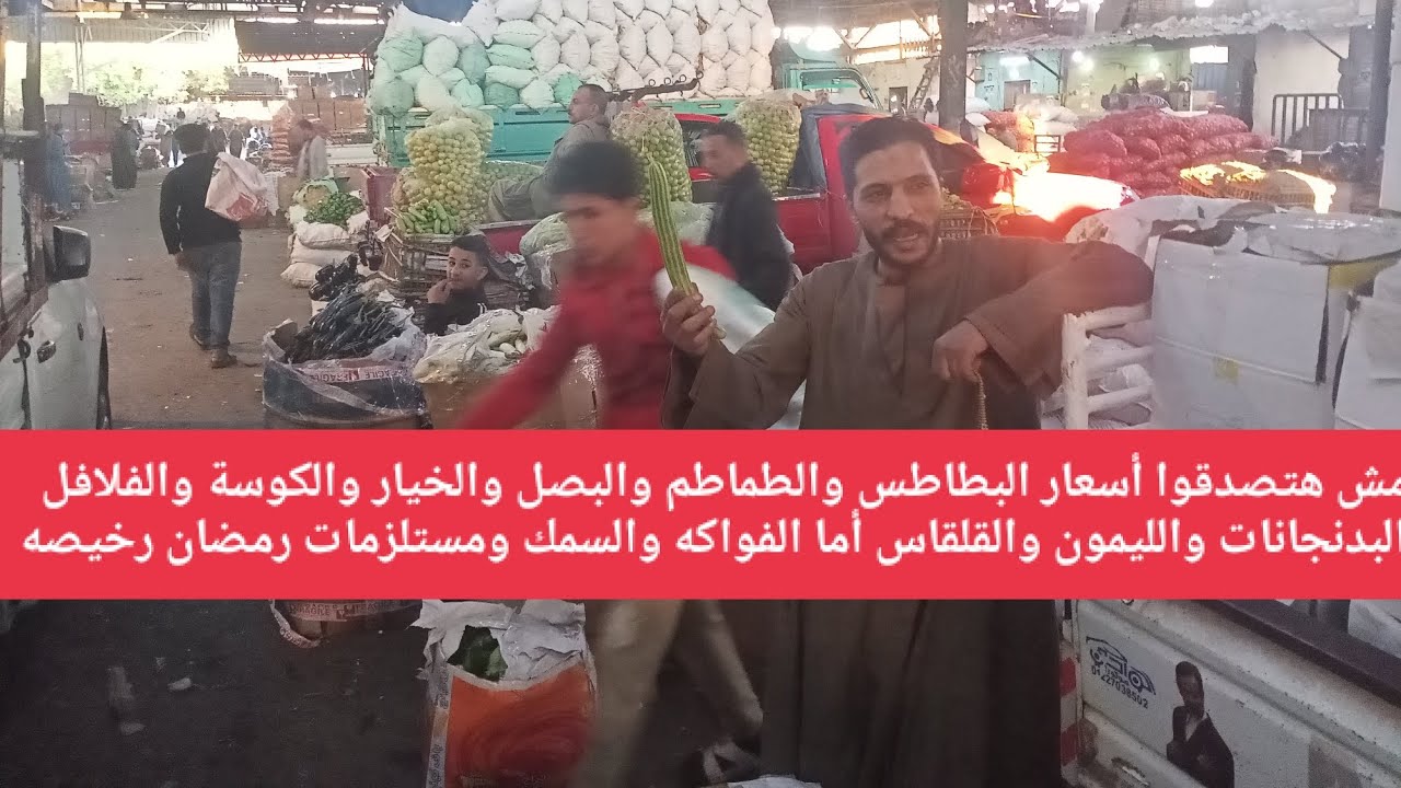 مش هتصدقوا أسعار البطاطس والطماطم والبصل والخيار والكوسة والفلافل والبدنجانات والليمون والقلقاس