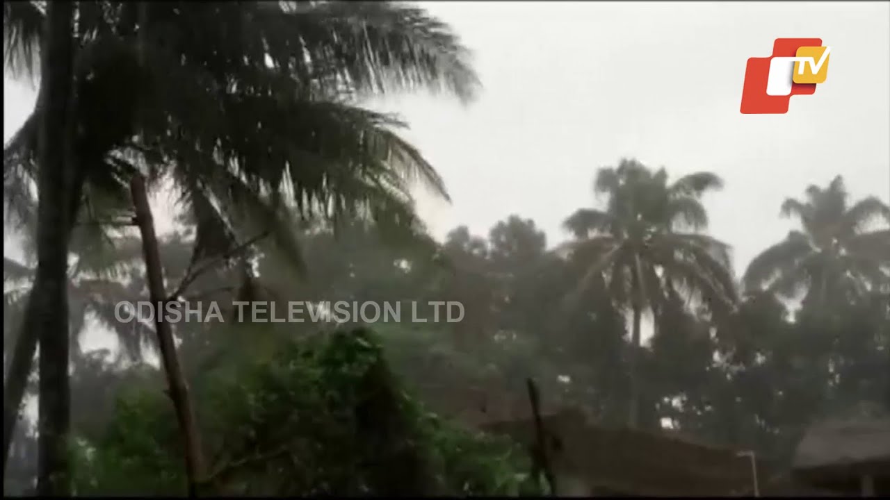 Cyclone Yaas | Strong Wind, Heavy Rainfall In Chandbali Area Of Bhadrak