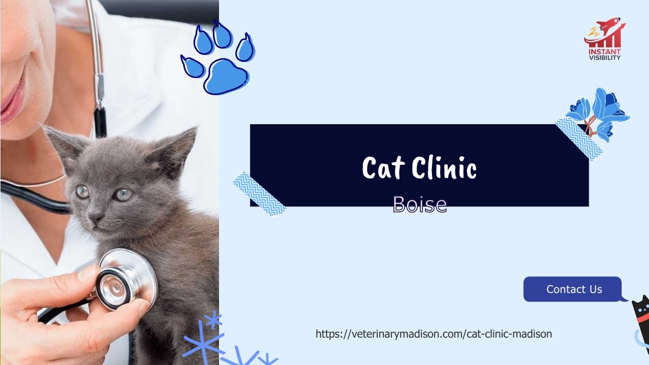 Cat Clinic Madison