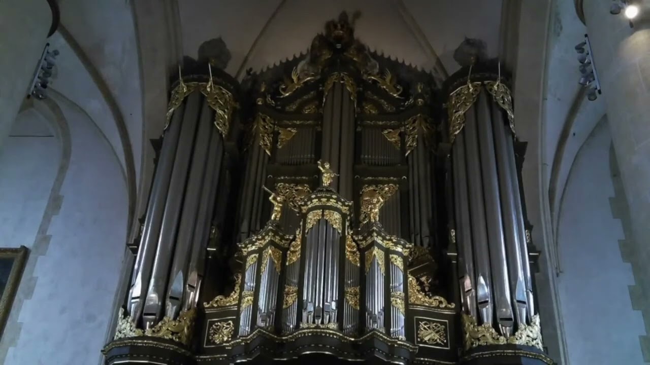 Carlos J. Fernandez Bollo - Organ Bachelor Recital