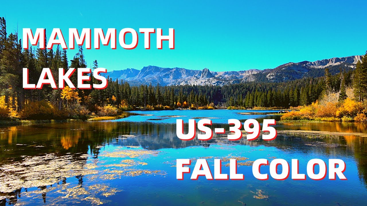 MAMMOTH LAKES, US-395 FALL COLOR, 美國395公路賞秋之旅，加州秋季旅行