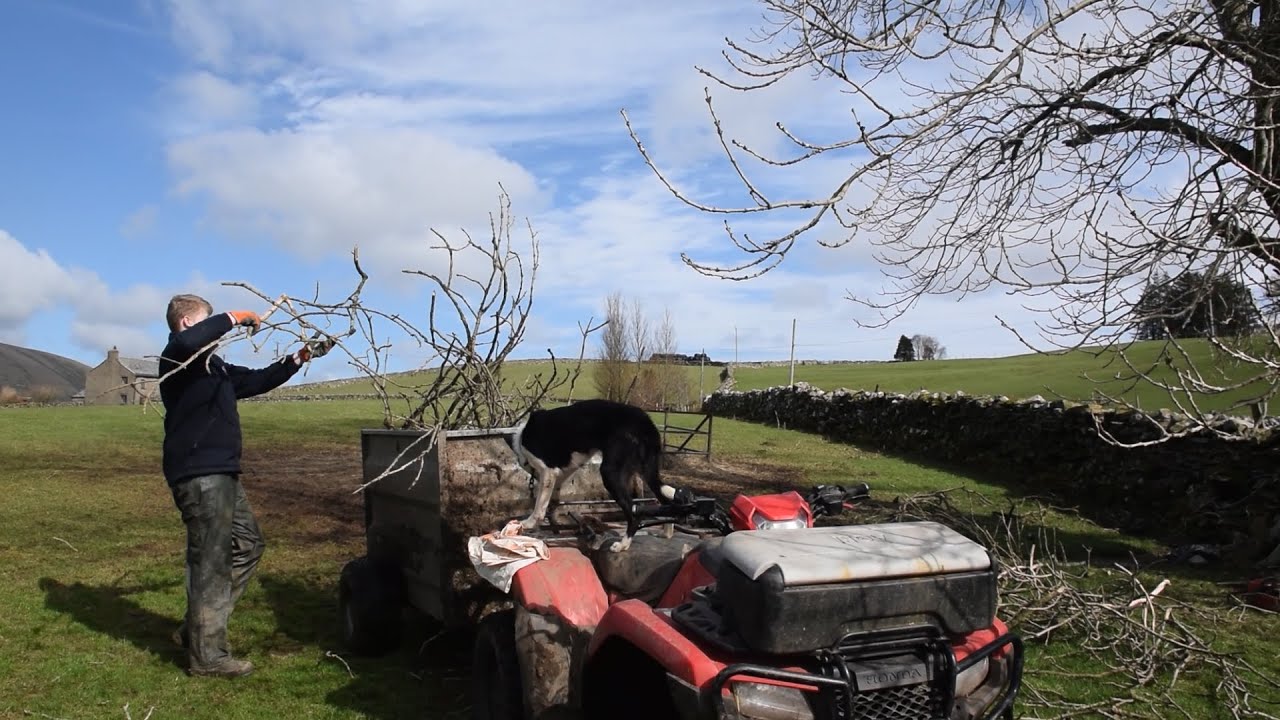 Farming Life S2E32: Tidying up the farm!