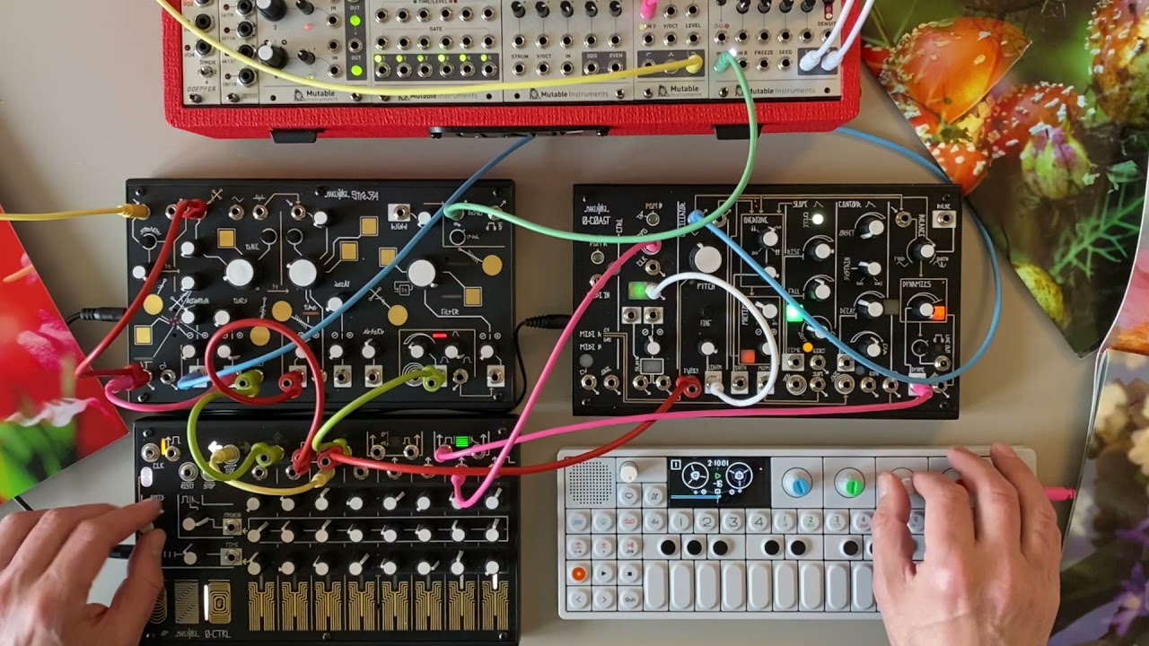 Make Noise Strega and Clarinet