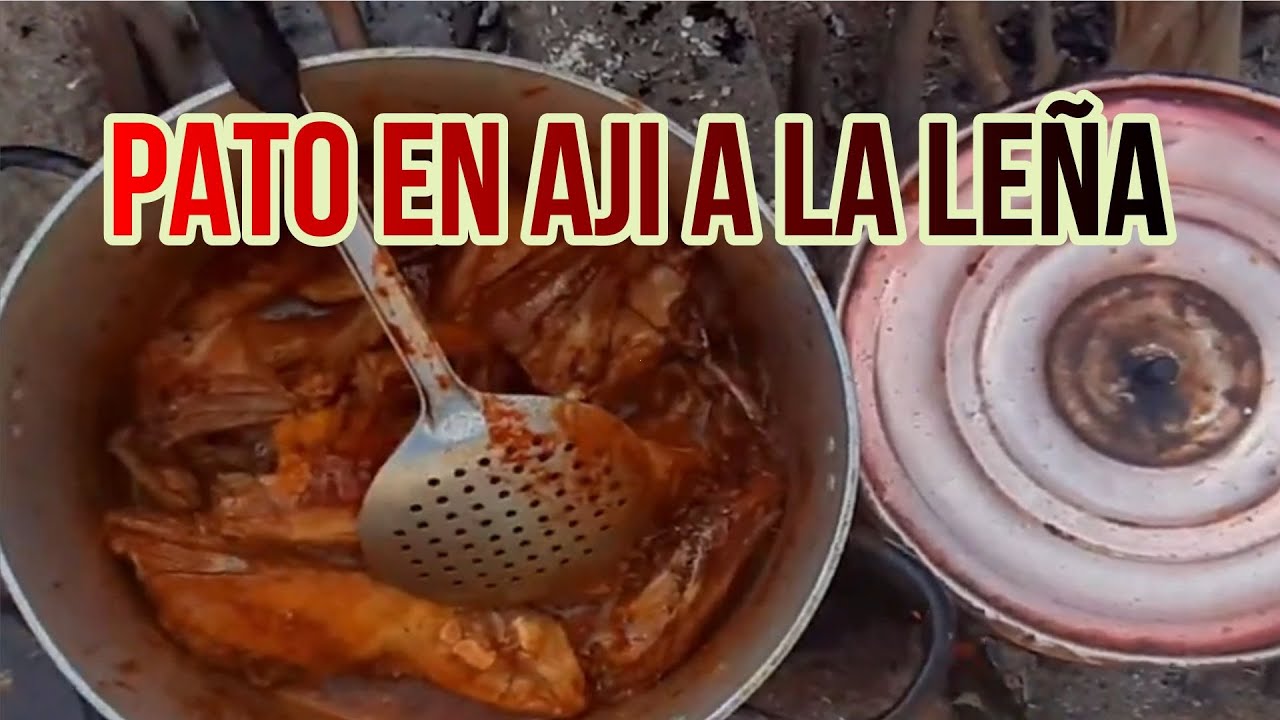 COMO PREPARAR PATO EN AJI A LA  LE&Ntilde;A