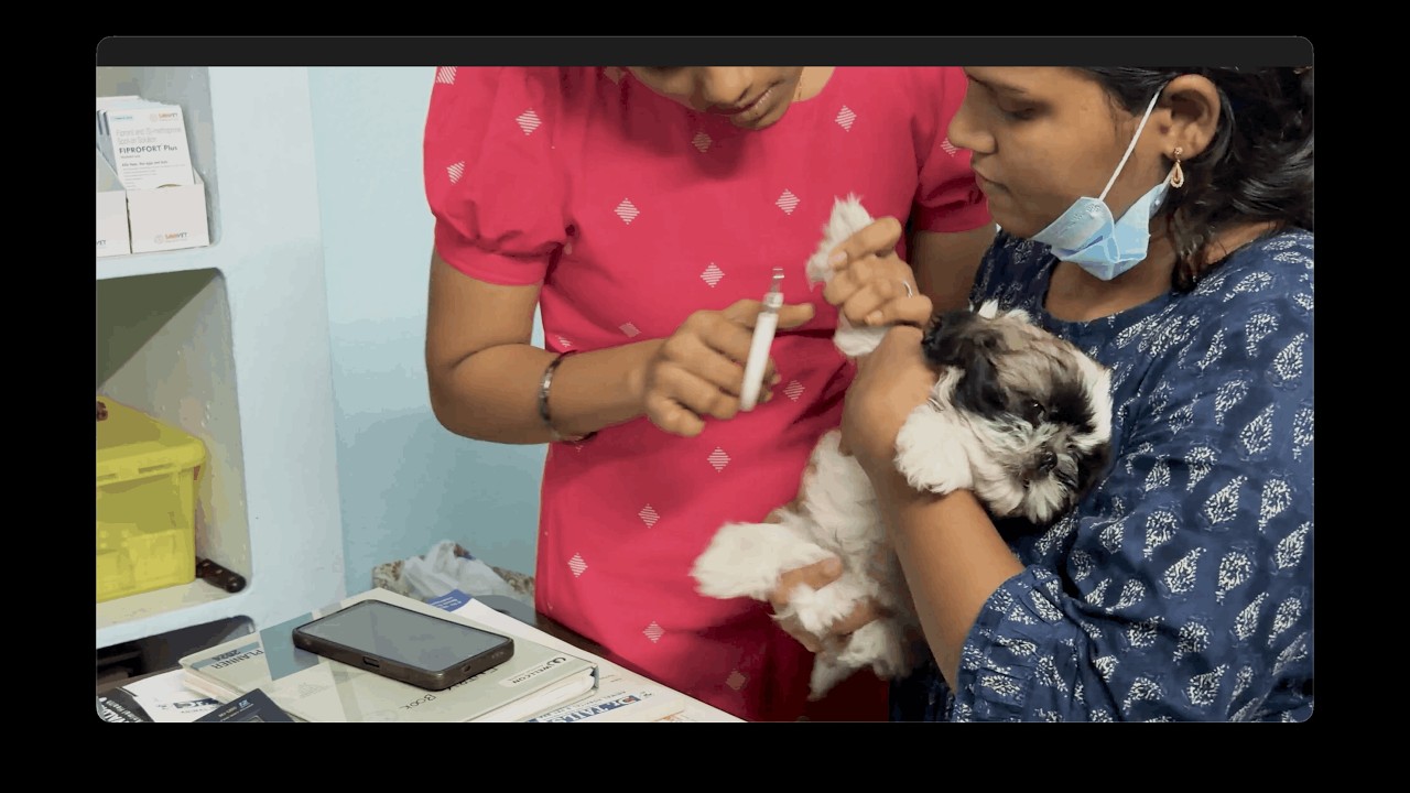 Took Oreo to pet care | Day136 | #vloggerlife #vlog