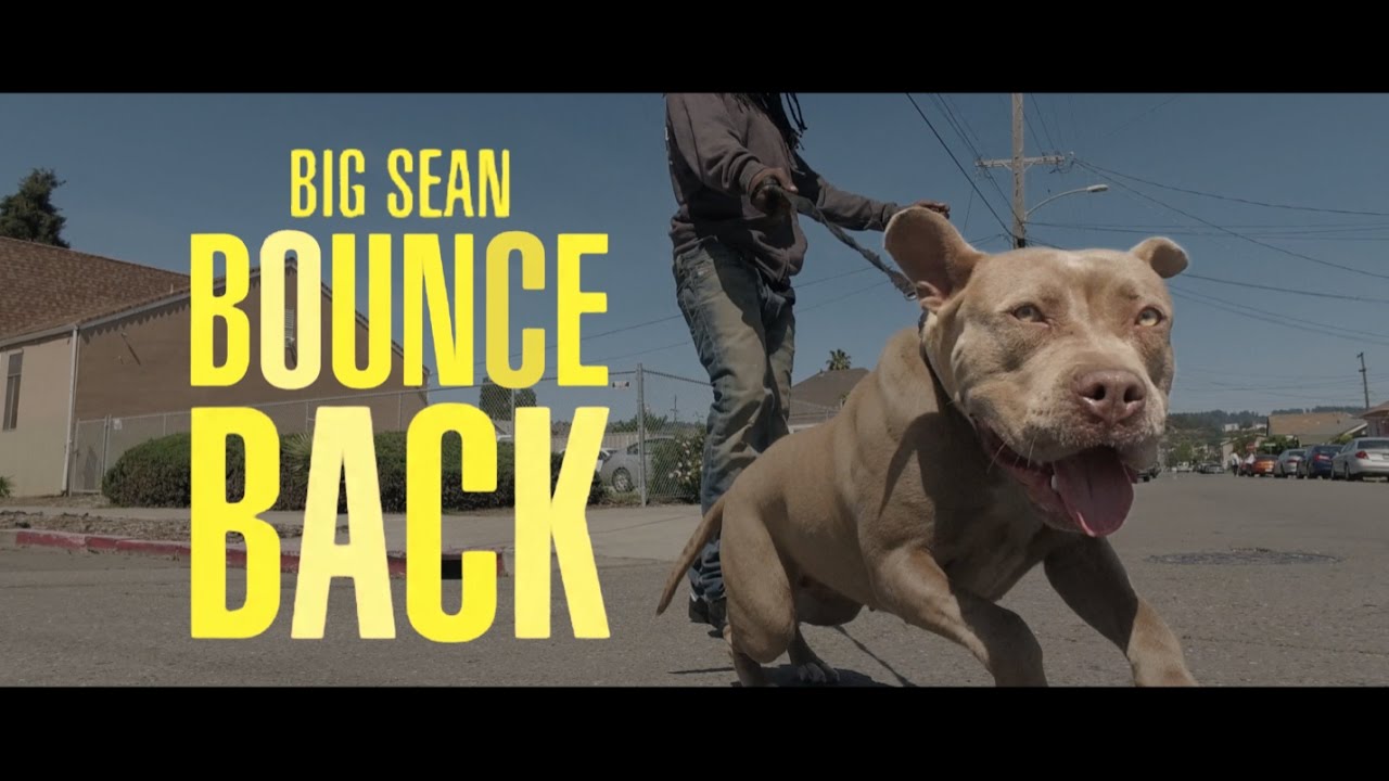 Big Sean - Bounce Back YAK DANCE LIFE Havoc/Aliyah/Crabe/AStepBeyond/LesTwins/FingerCircus/TurfFeinz