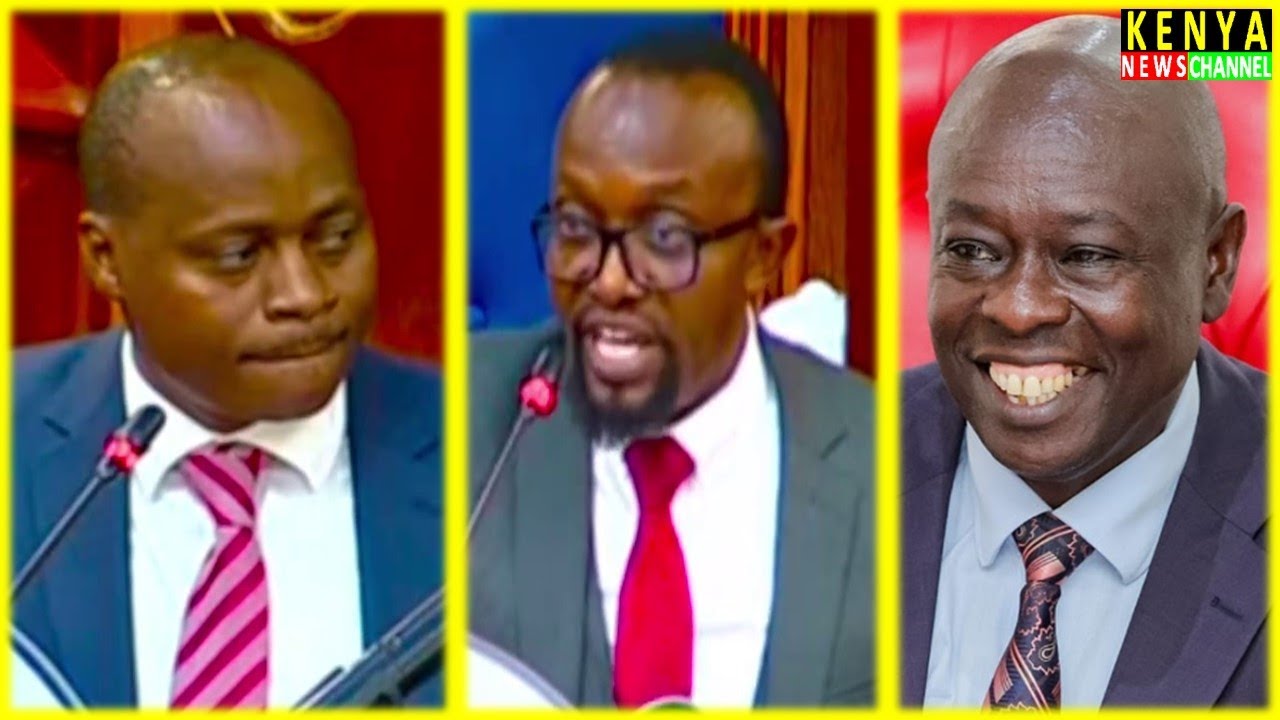 Gachagua Lawyer Ndegwa Njiru TOUGH QUESTIONS to former KEMSA CEO Mulwa at Senate impeachment trial