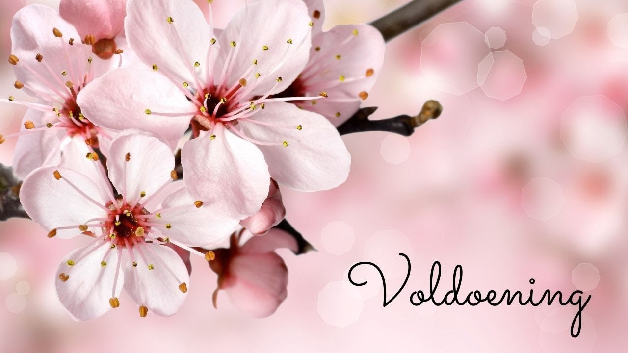 Voldoening - Algemene Tarot Reading