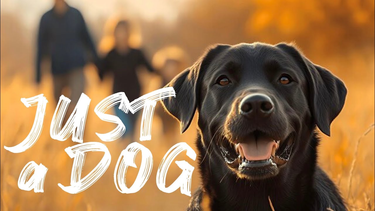 Just A Dog | Kevin Major