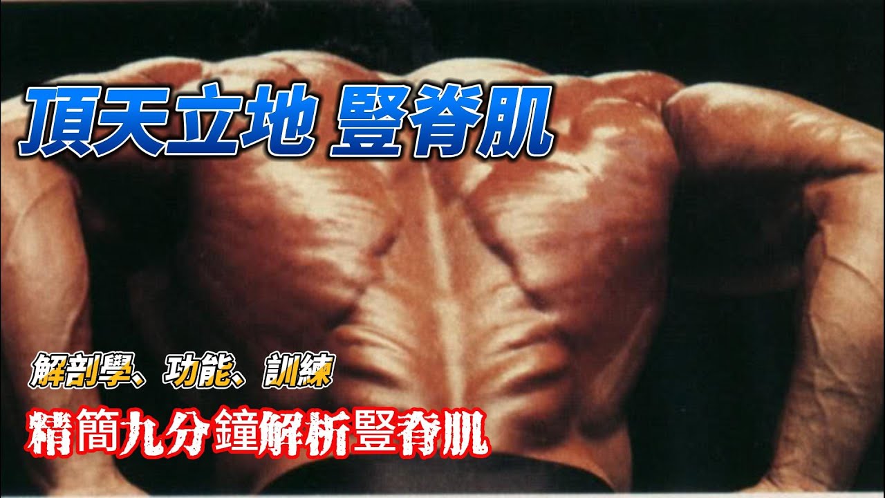 頂天立地的關鍵豎脊肌