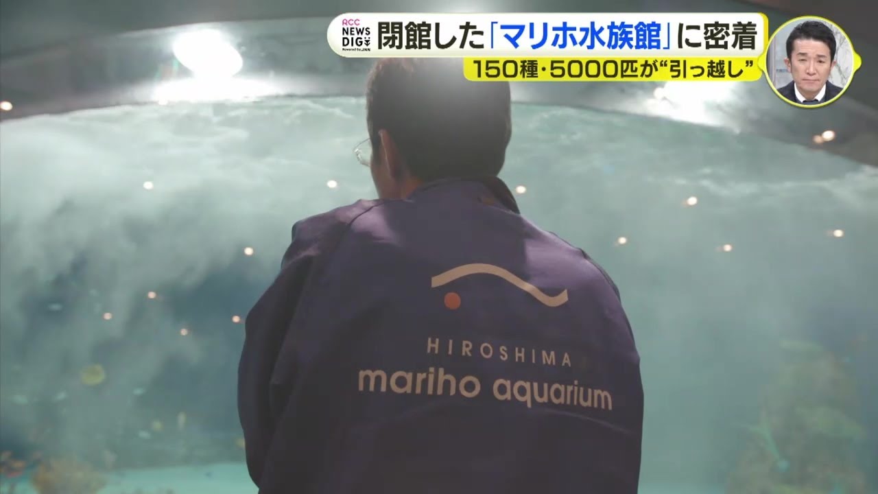 閉館した「マリホ水族館」に密着　150種・5000匹が“引っ越し”　水槽の魚たちはどこへ？