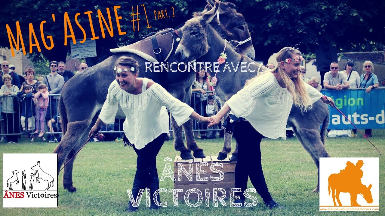 [Mag'Asine #1] Rencontre avec Anes Victoires (Partie 2)