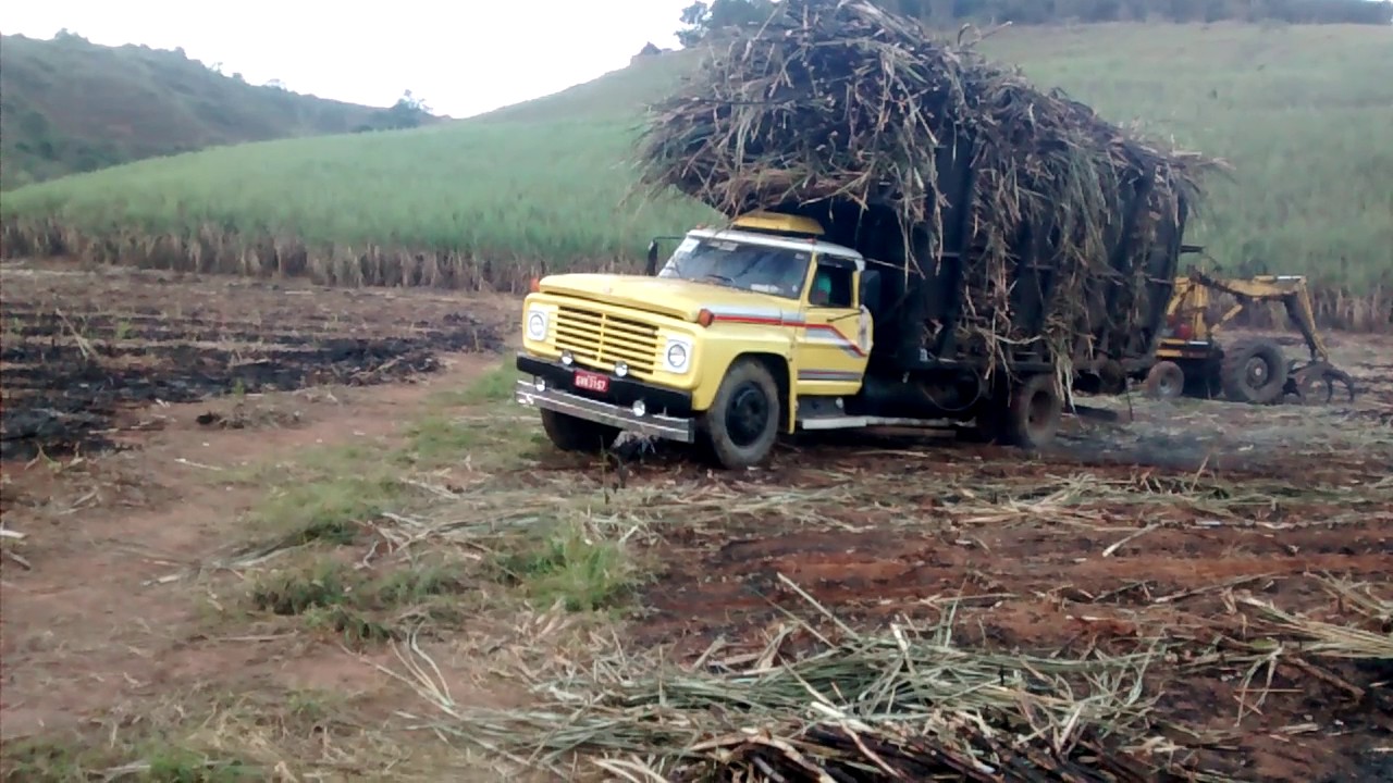 Fordão quase deitando na saída do canavial. Se não fosse na mão do dono, sobrava nada não.