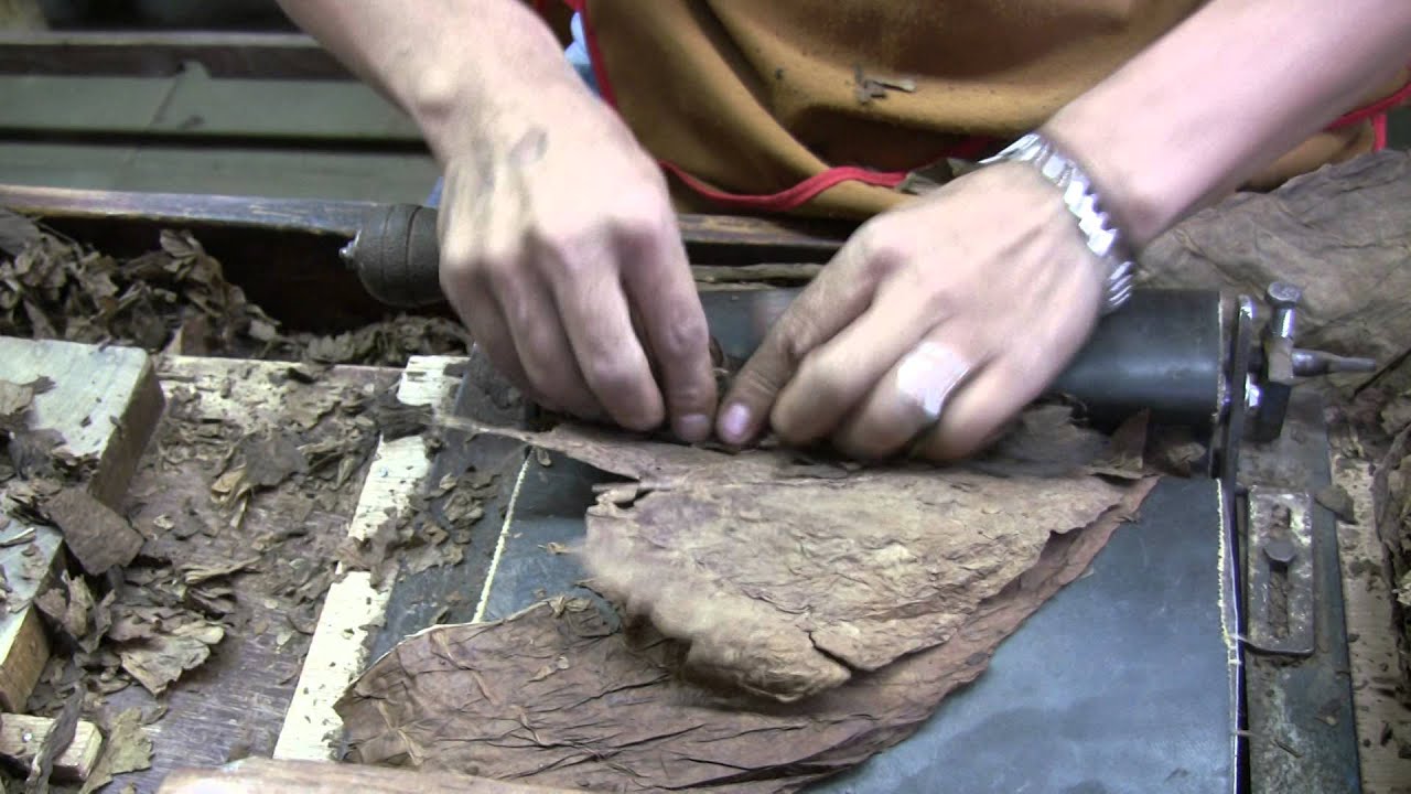 Nestor Plasencia cigar factory, guide tour