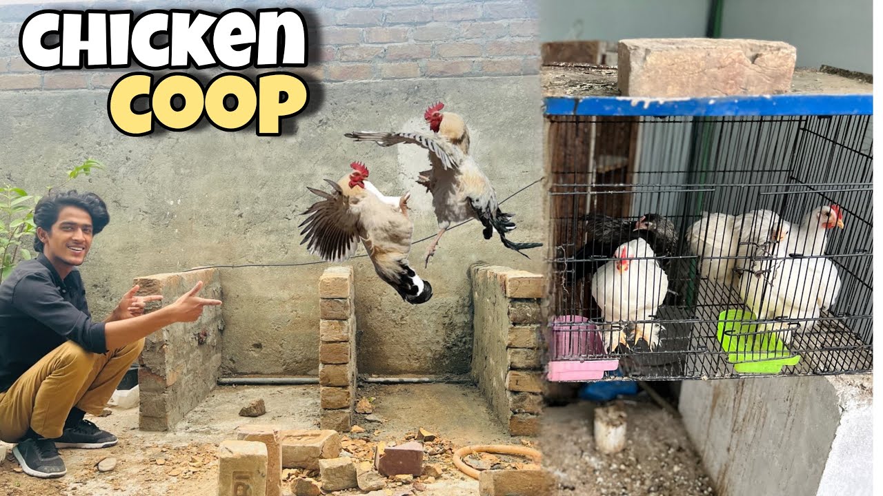 Mini Aviary Ki Murghiyo Ka Neya Ghar😍😍