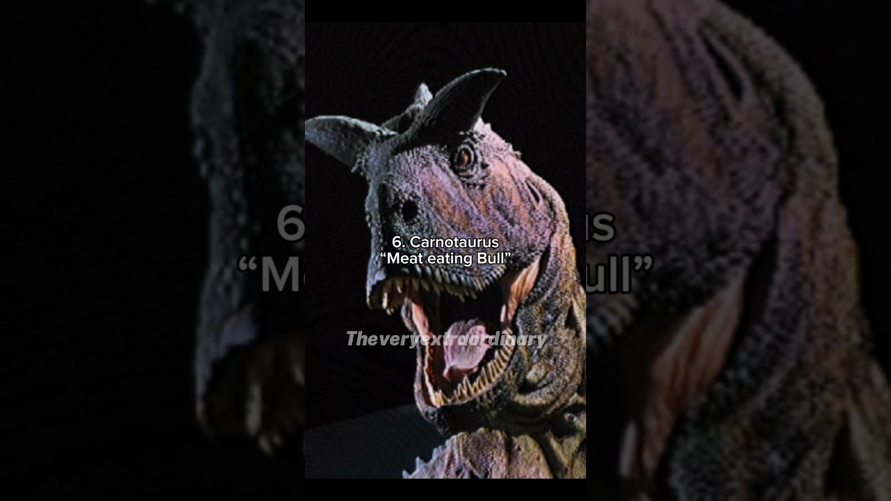 Top 10 Badass Dinosaur Name Meanings #dinosaur #prehistoric #dinosaurnames #aura